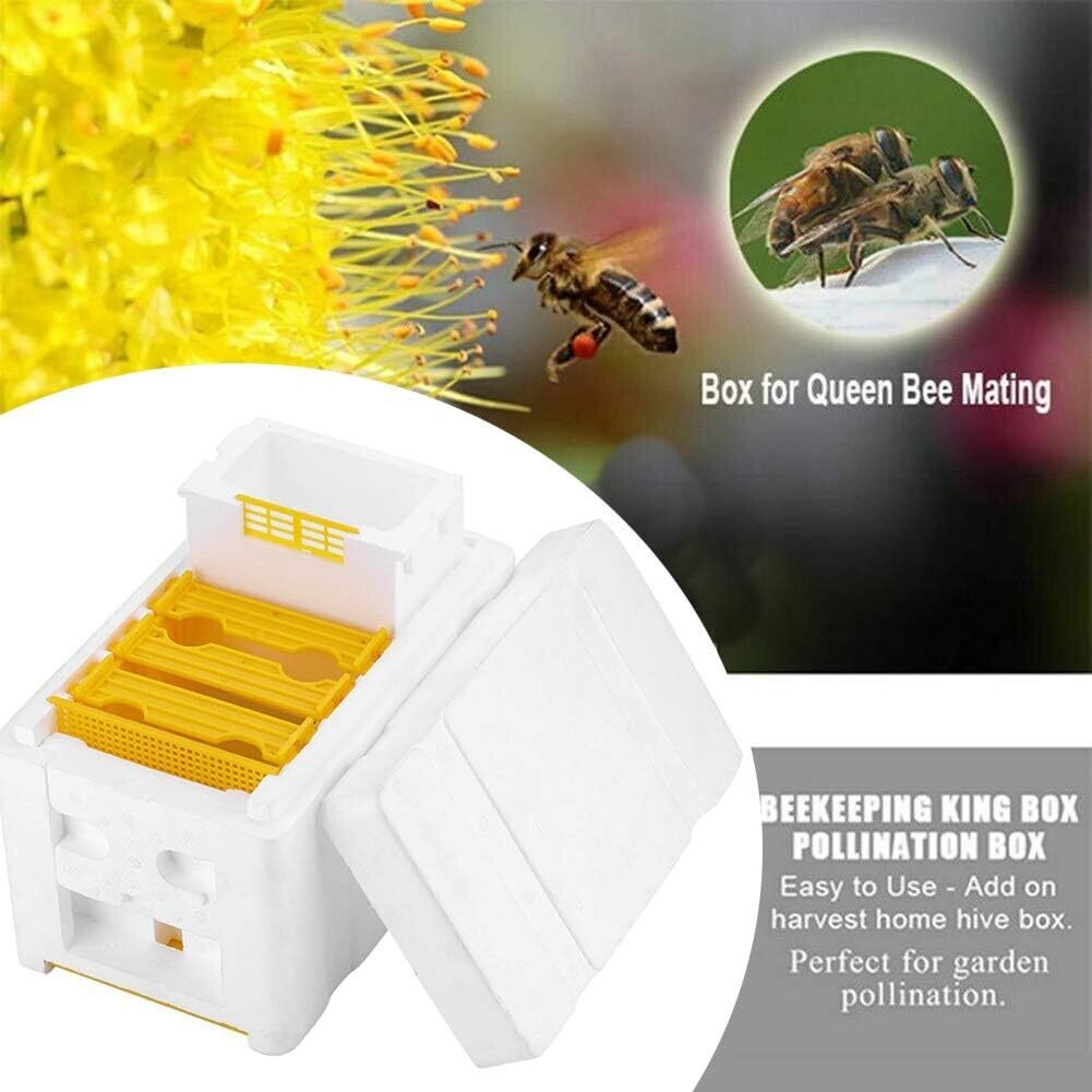 Bee Hive Box for Harvest and Pollination – Ideal Beekeeping Tool for Bee Mating and Copulation, Perfect for Beekeepers