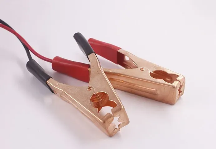 600W Car Battery Charger – 12V to 72V, 25A Output for Versatile and Reliable Charging