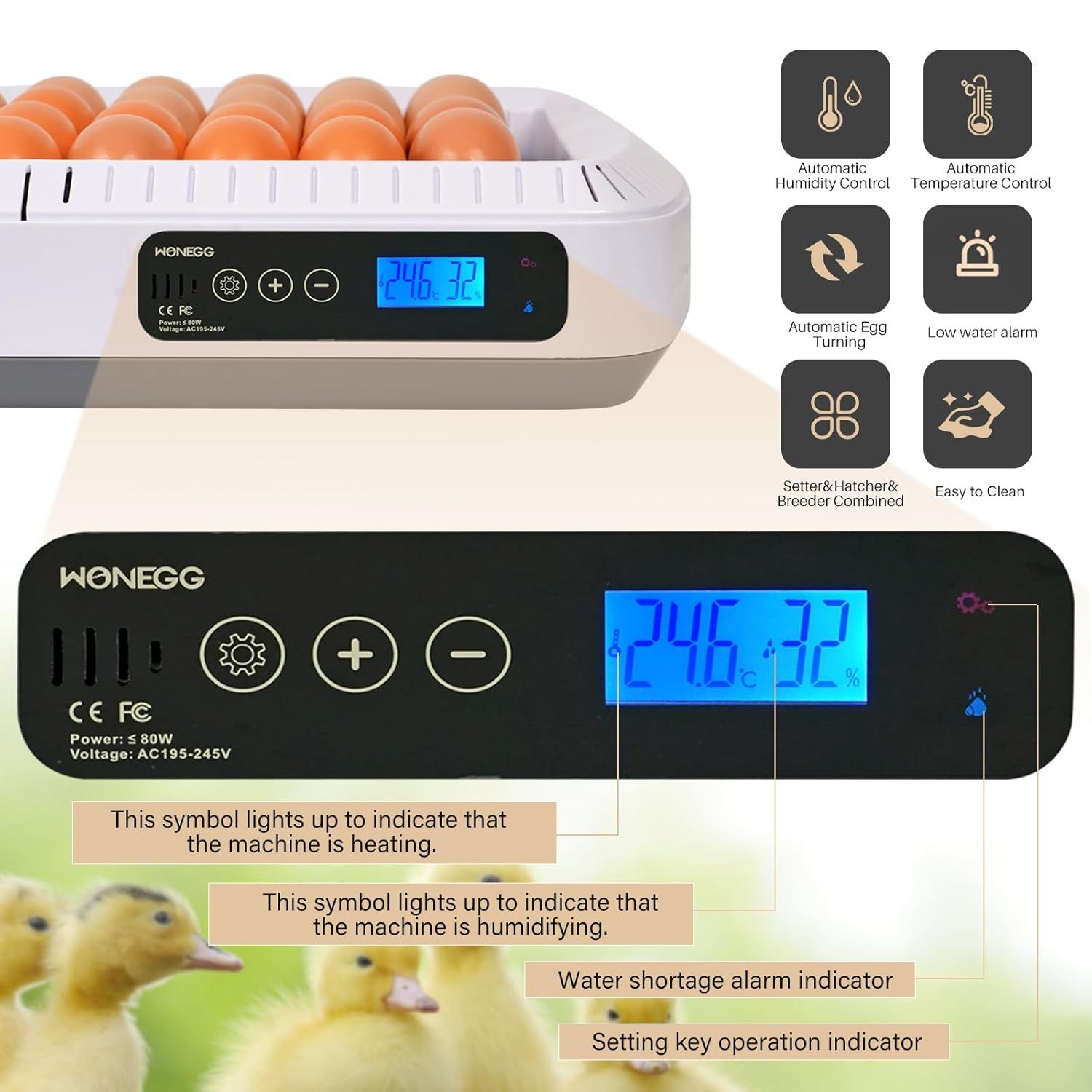 35-Egg Incubator with Automatic Turning, Temperature &amp; Humidity Control – Perfect for Hatching Chicken, Duck &amp; Goose Eggs