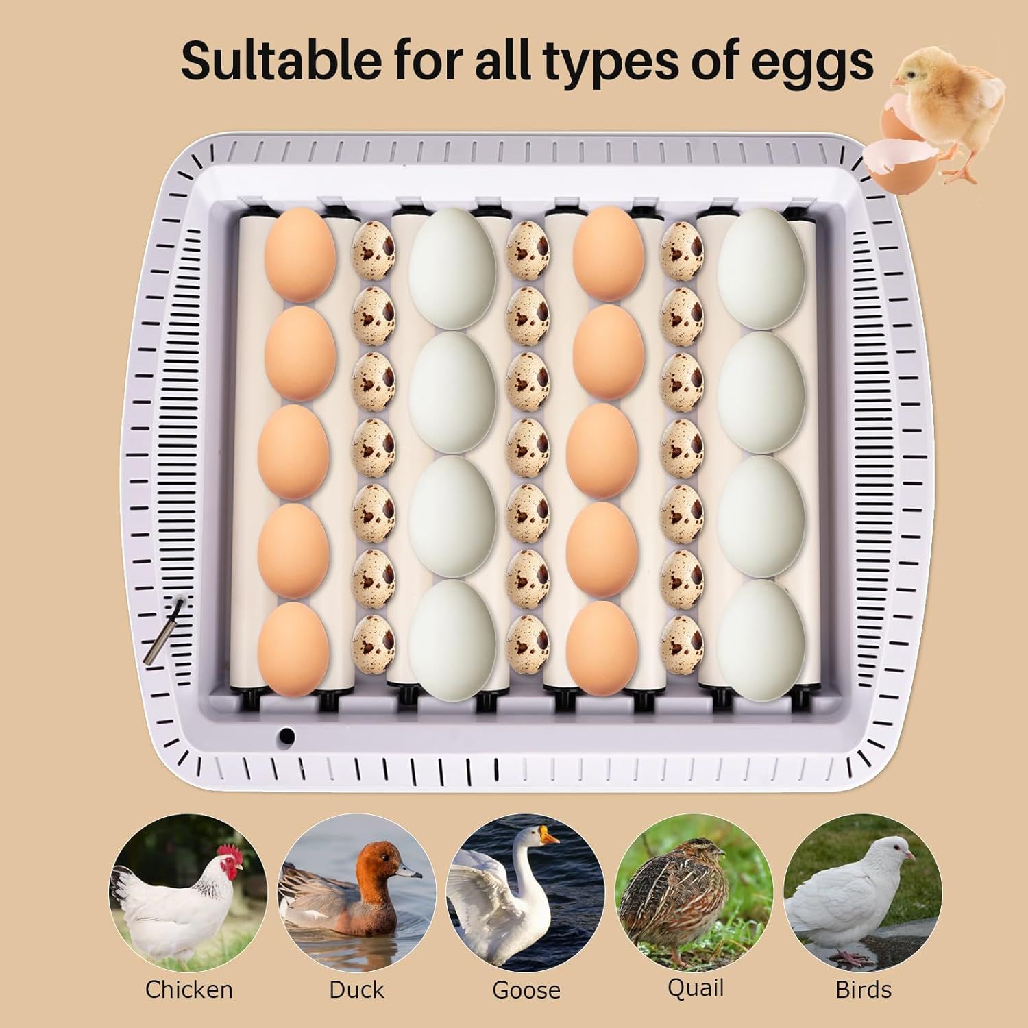 35-Egg Incubator with Automatic Turning, Temperature &amp; Humidity Control – Perfect for Hatching Chicken, Duck &amp; Goose Eggs