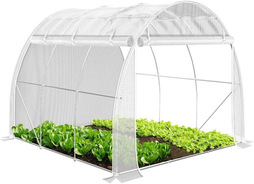 Polytunnel Greenhouse 3x2x2 m 6m² Poly Tunnels Gardening Walk In Pollytunnel Tent with Steel Frame