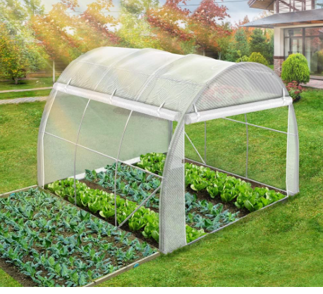 Polytunnel Greenhouse 3x2x2 m 6m² Poly Tunnels Gardening Walk In Pollytunnel Tent with Steel Frame