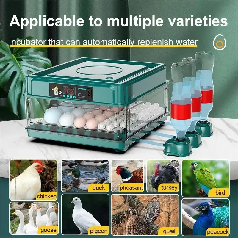 9/15/24/36 Egg Incubator with Drawers, Automatic Ionized Waterbed Refill &amp; Temperature Control.