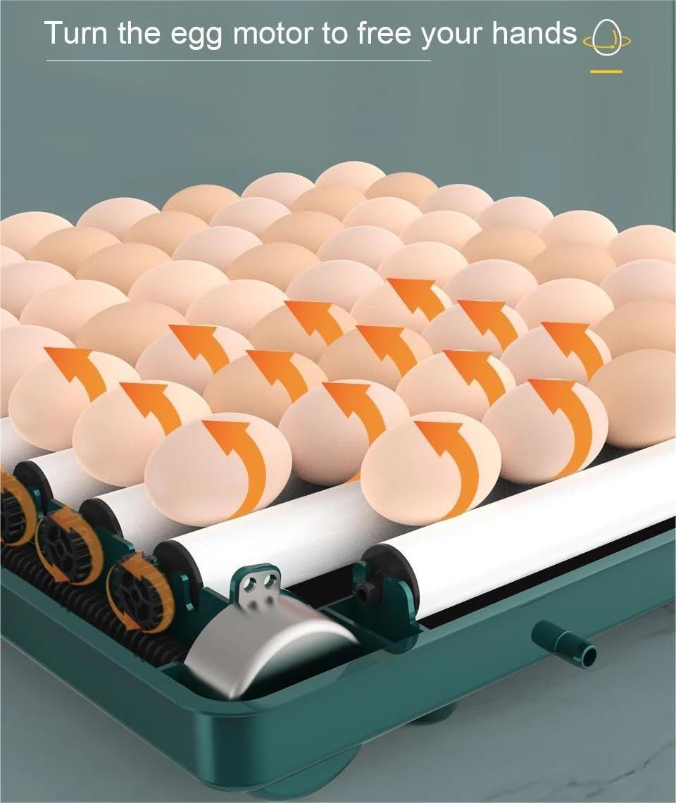 9/15/24/36 Egg Incubator with Drawers, Automatic Ionized Waterbed Refill &amp; Temperature Control.