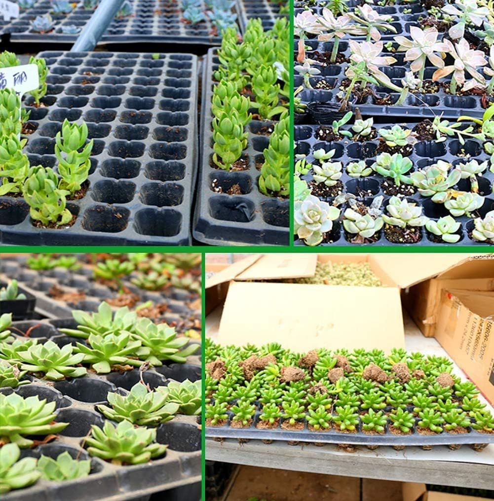 4Pcs Plant Seedling Tray 24 Cell Propagator with Adjustable Vents Lids &amp; Bases
