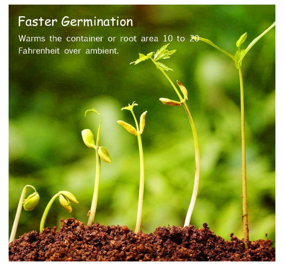 Seedling 30W Heating Mat – 52 × 25 cm Plant Propagation &amp; Terrarium Heat Pad
