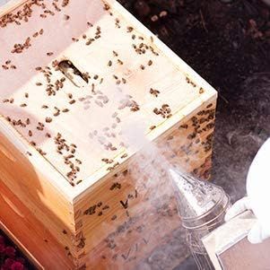 Stainless Steel Bee Smokers Machine​