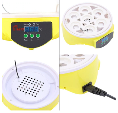 Mini 7 Egg Incubator With Built-in Temperature Control System