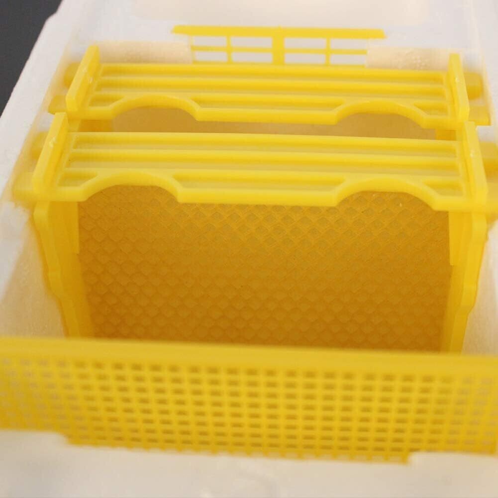 Bee Hive Box for Beekeeping Pollination &amp; Honey Harvesting