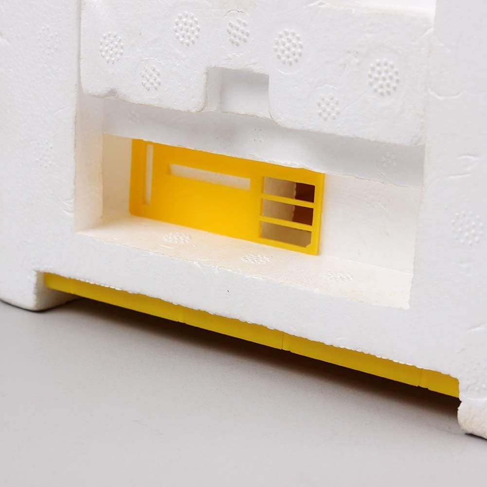 Bee Hive Box for Beekeeping Pollination &amp; Honey Harvesting