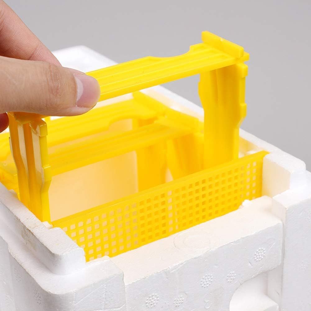 Bee Hive Box for Beekeeping Pollination &amp; Honey Harvesting