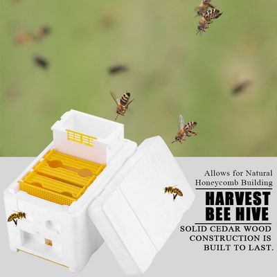 Bee Nuc Hive Box for Beekeeping, Queen Rearing and Garden Pollination