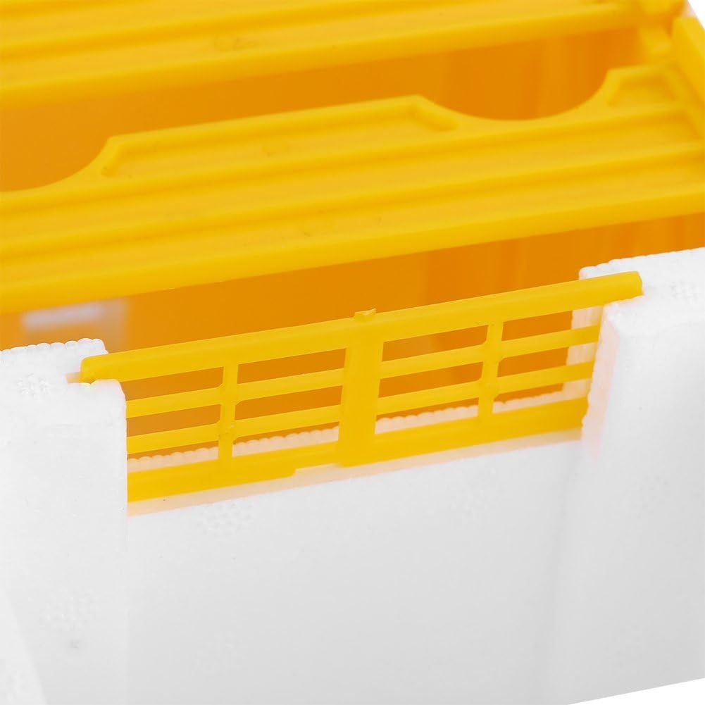 Bee Nuc Hive Box for Beekeeping, Queen Rearing and Garden Pollination