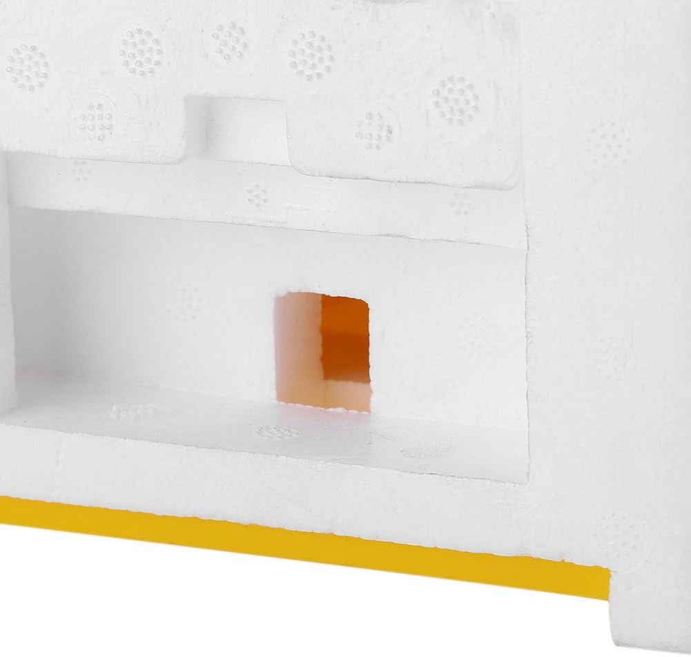 Bee Nuc Hive Box for Beekeeping, Queen Rearing and Garden Pollination
