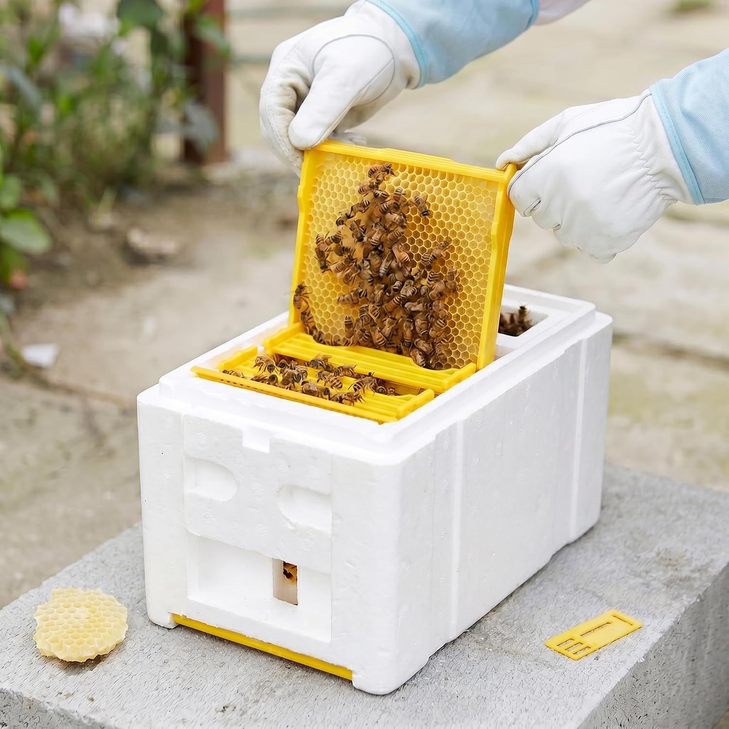Bee Nuc Hive Box for Beekeeping, Queen Rearing and Garden Pollination
