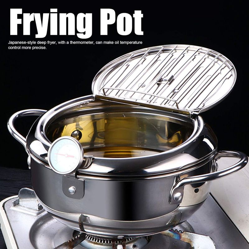 Stainless Steel Induction Cooker/Fryer With Adjustable Temperature