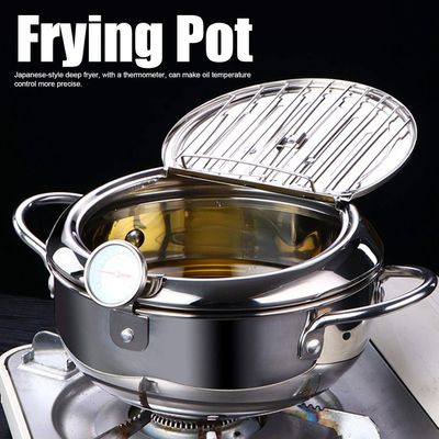 Stainless Steel Induction Cooker/Fryer With Adjustable Temperature