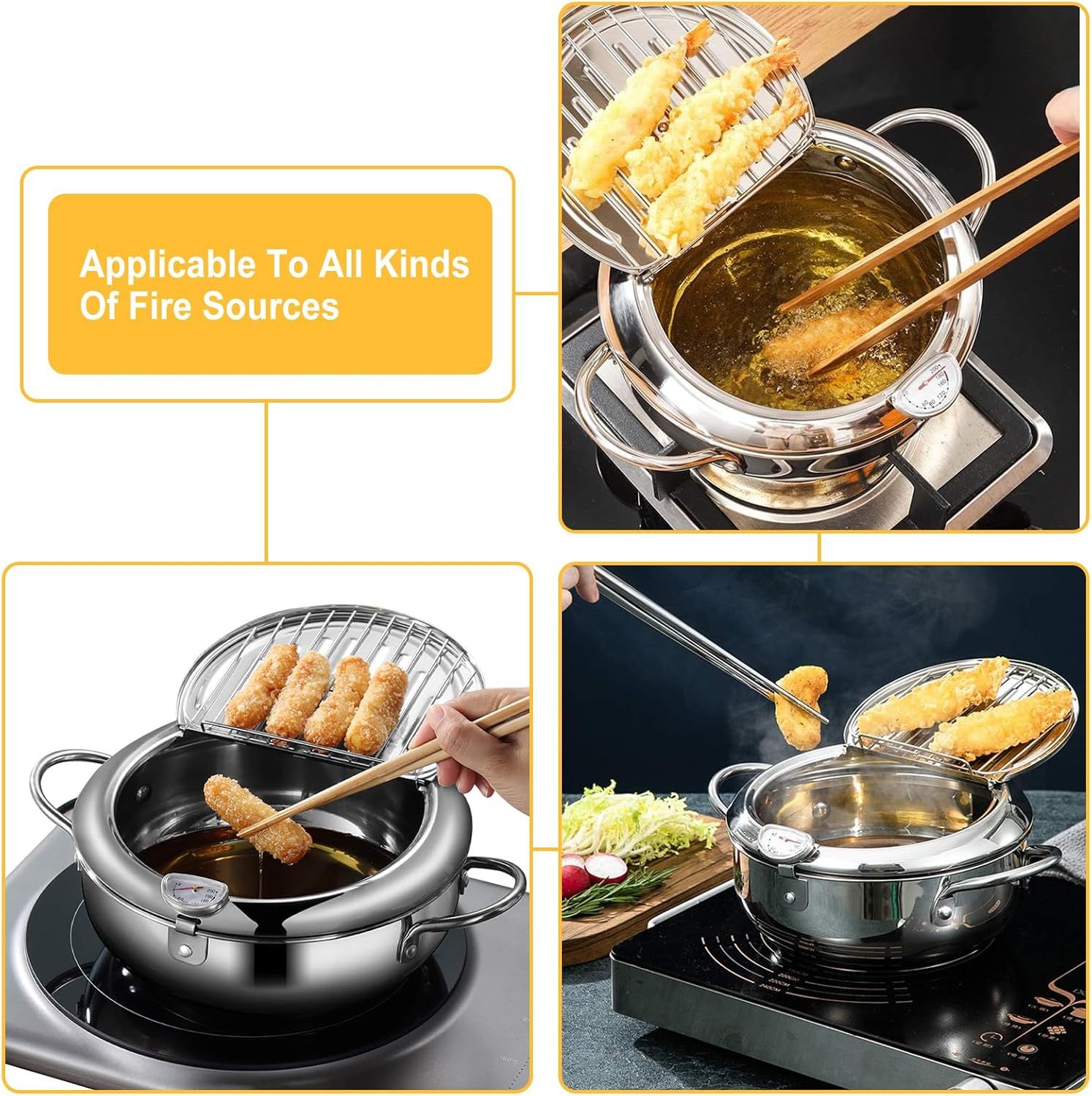 Stainless Steel Induction Cooker/Fryer With Adjustable Temperature