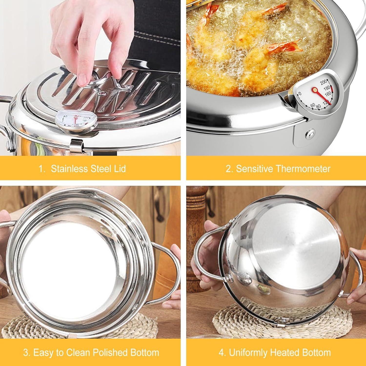 Stainless Steel Induction Cooker/Fryer With Adjustable Temperature