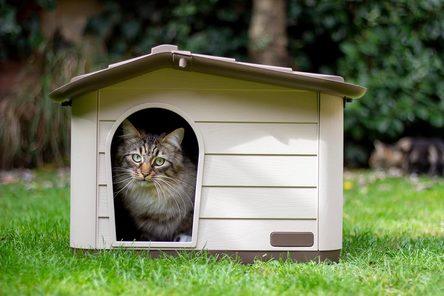 Rosewood Outdoor Cat, Dog and Rabbit House, Pet Kennel and Shelter - Brown