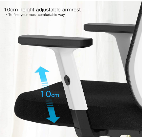 Ergonomic Office Chair Adjustable Armrests Back Support