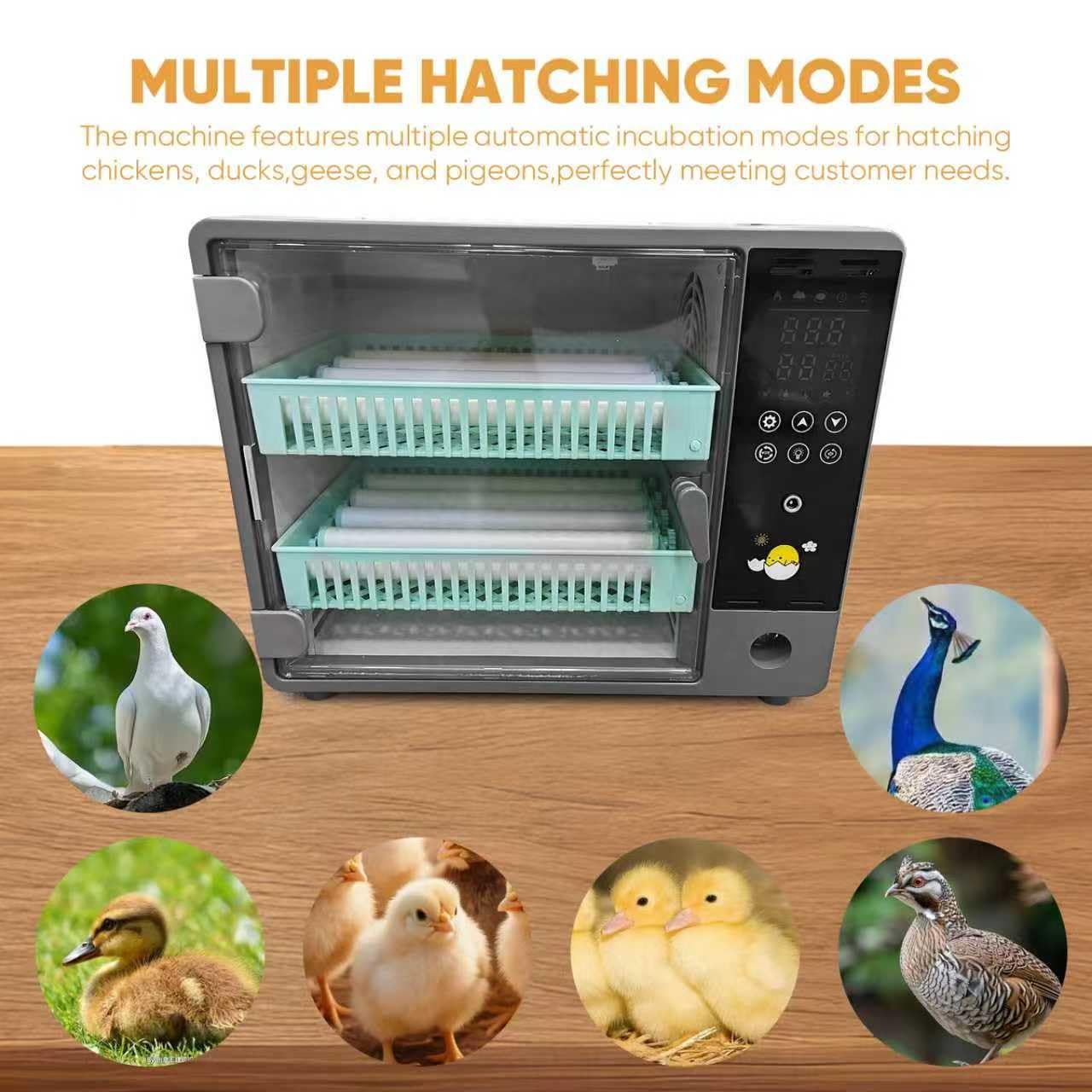 24 Egg Incubator Automatic Turning, Temperature and Humidity Control