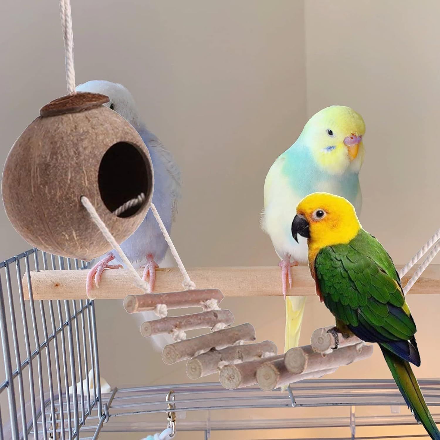 Natural Coconut Shell Bird Nest with Wooden Ladder Hanging Pet Bird House