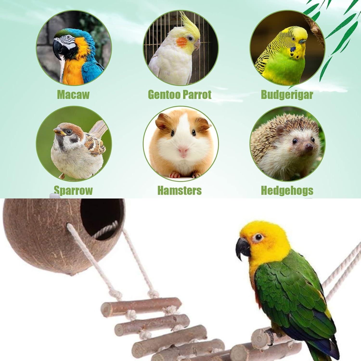 Natural Coconut Shell Bird Nest with Wooden Ladder Hanging Pet Bird House
