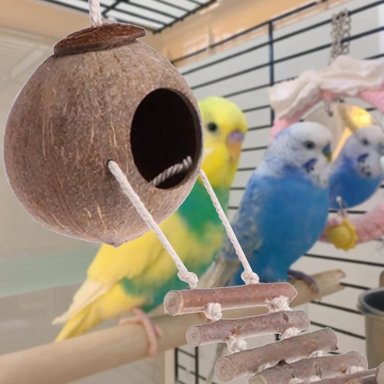 Natural Coconut Shell Bird Nest with Wooden Ladder Hanging Pet Bird House