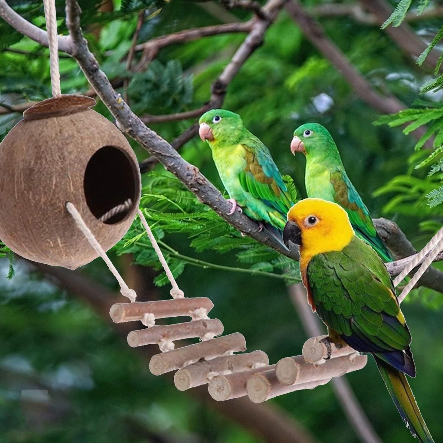 Natural Coconut Shell Bird Nest with Wooden Ladder Hanging Pet Bird House