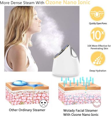 Facial Steamer Nano Ionic Face Sauna Hot Mist