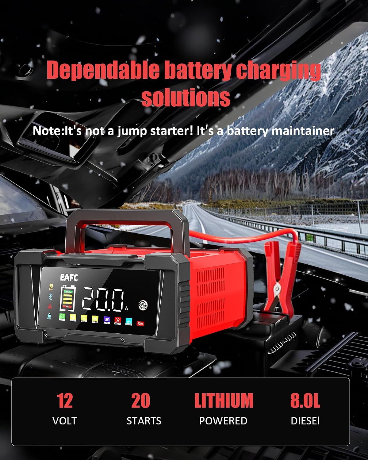 Car Battery Charger 20A 12V 24V Maintainer