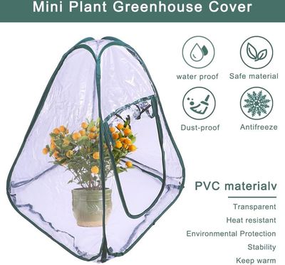 Pop-up Mini Greenhouse Tent – 70 x 70 x 80 cm