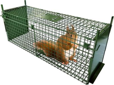 Humane Live Trap 80x28x26cm Double Door Cage