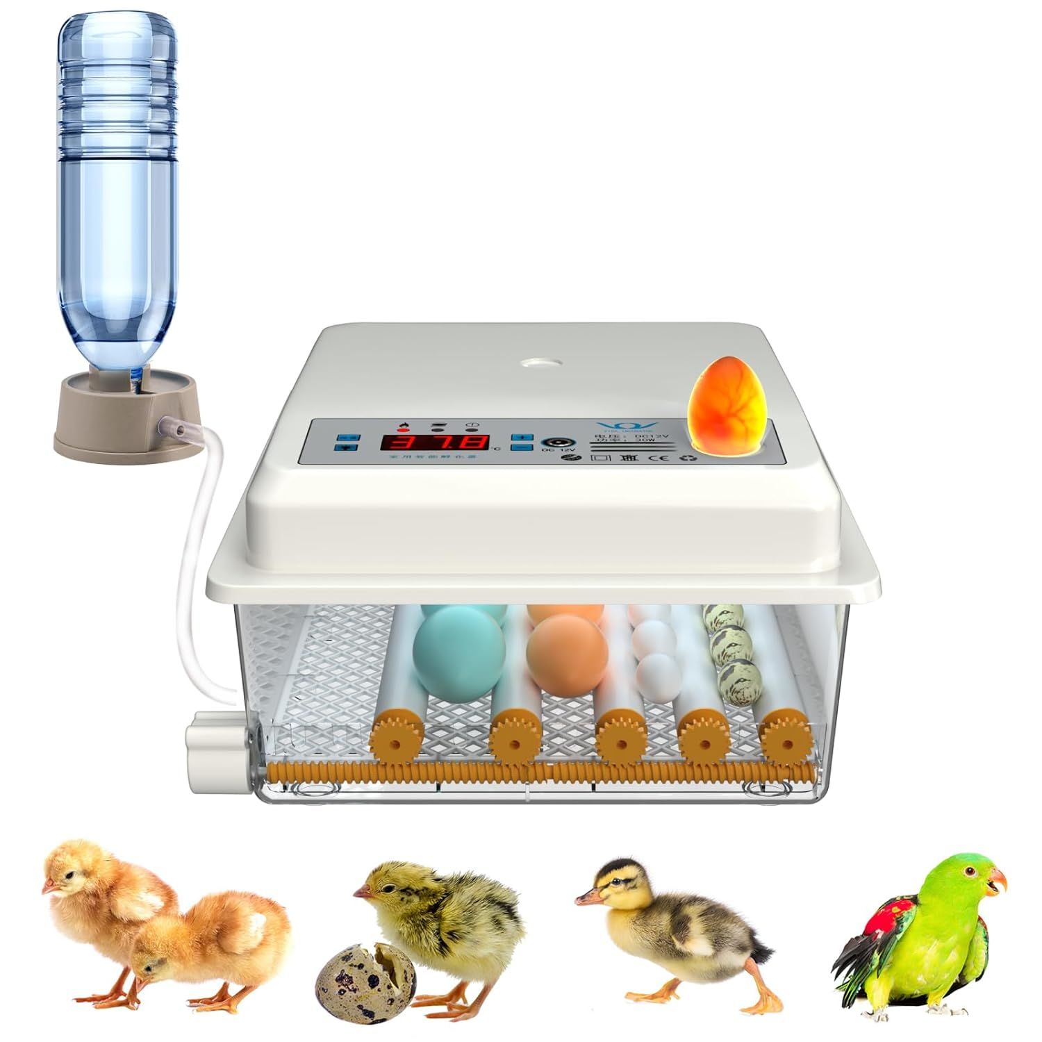 16 Egg Automatic Incubator, Digital Temperature Control &amp; Automatic Egg Turning for Chicken Duck Goose Eggs