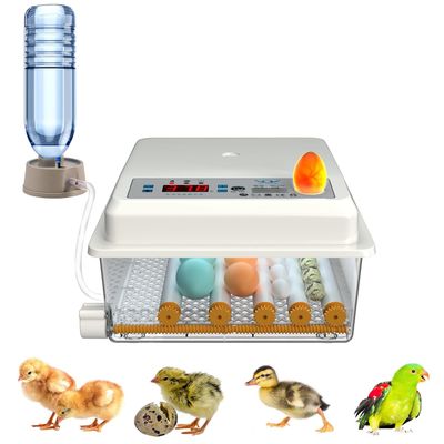 16 Egg Automatic Incubator, Digital Temperature Control &amp; Automatic Egg Turning for Chicken Duck Goose Eggs