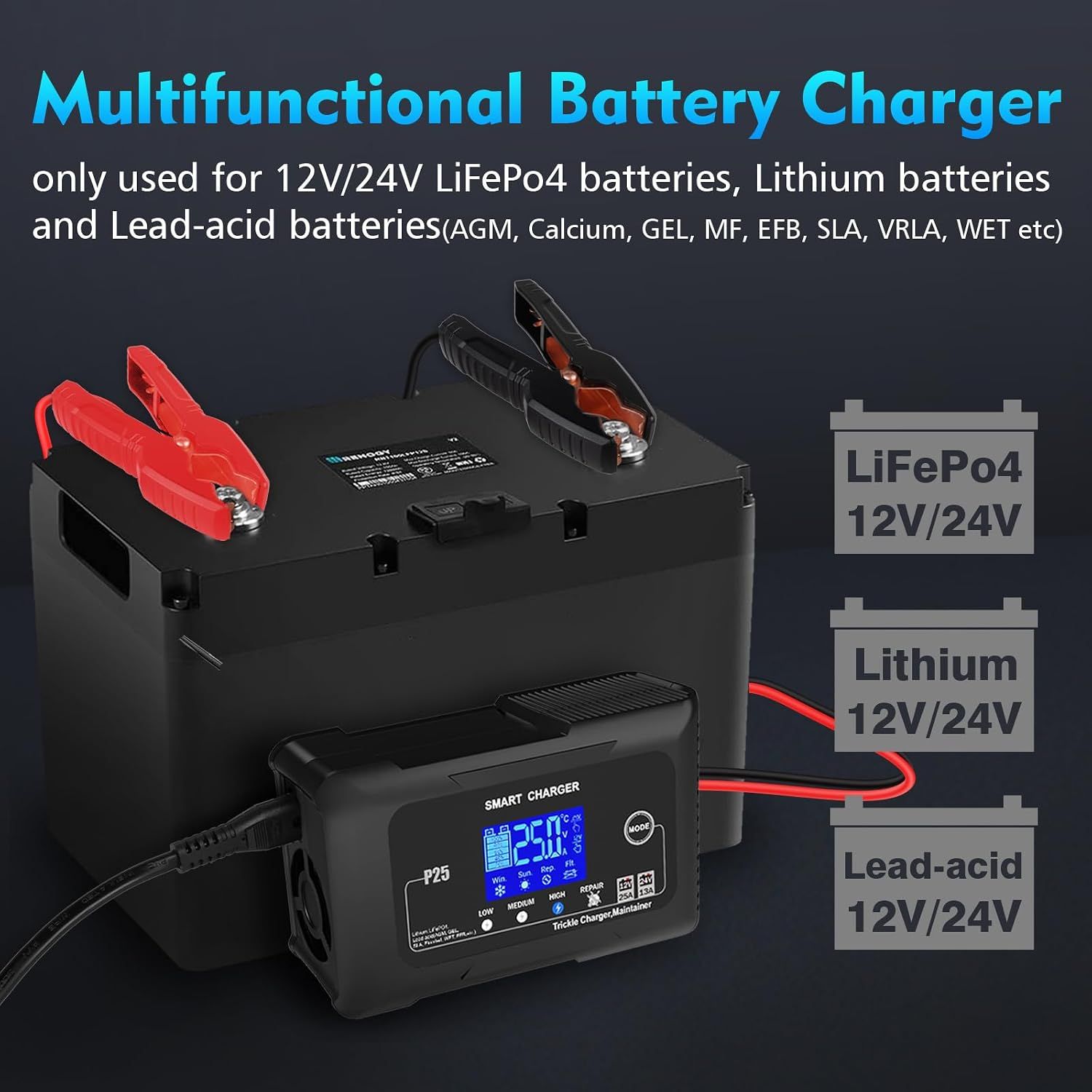 25A Car Battery Charger 12V 24V LiFePO4 Lead Acid Battery Maintainer with LCD