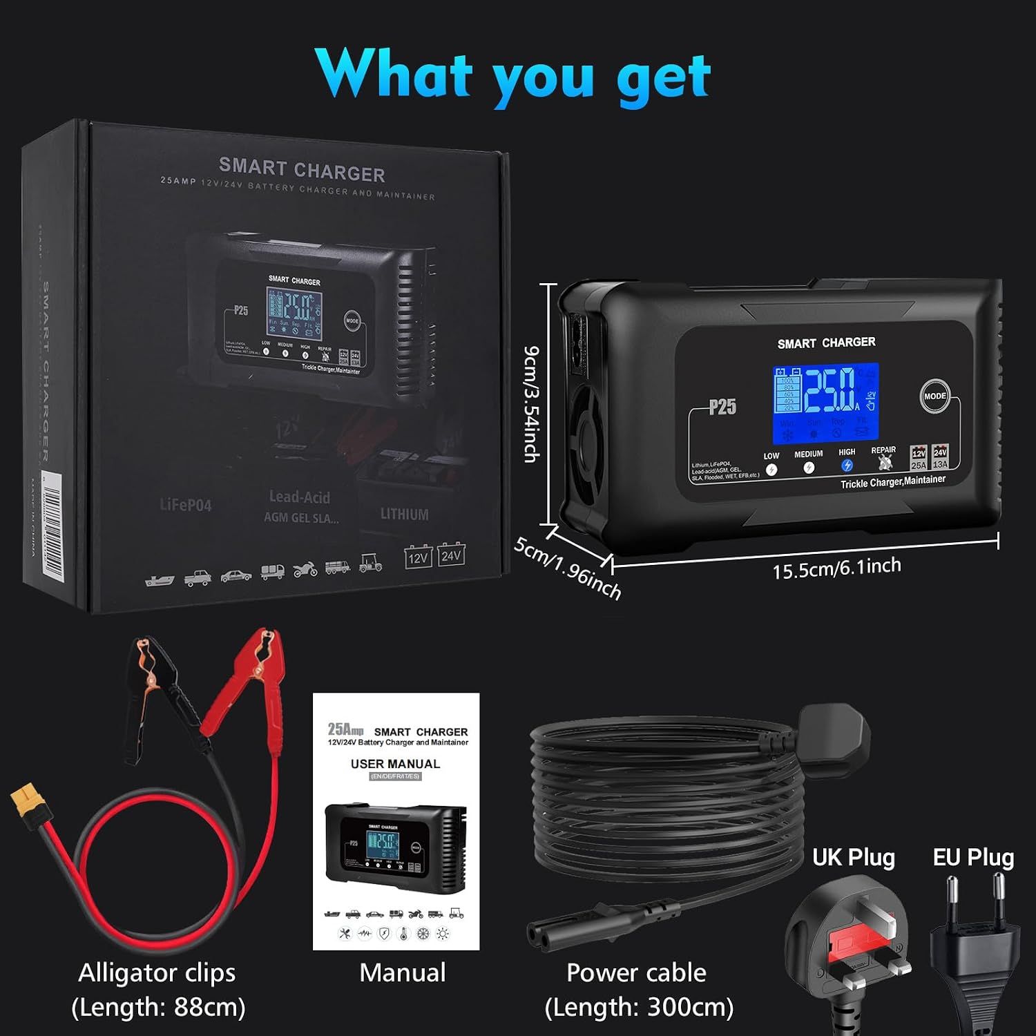 25A Car Battery Charger 12V 24V LiFePO4 Lead Acid Battery Maintainer with LCD