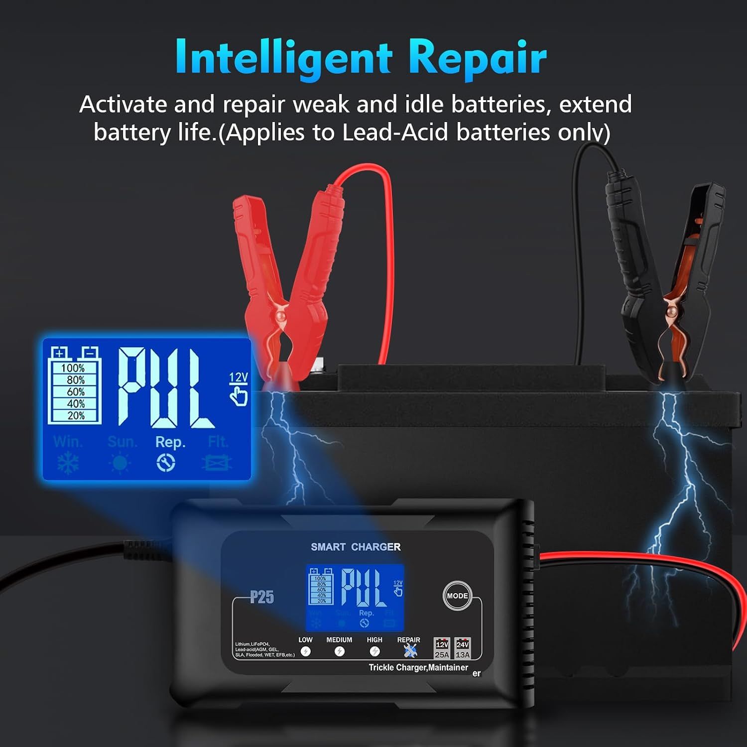 25A Car Battery Charger 12V 24V LiFePO4 Lead Acid Battery Maintainer with LCD