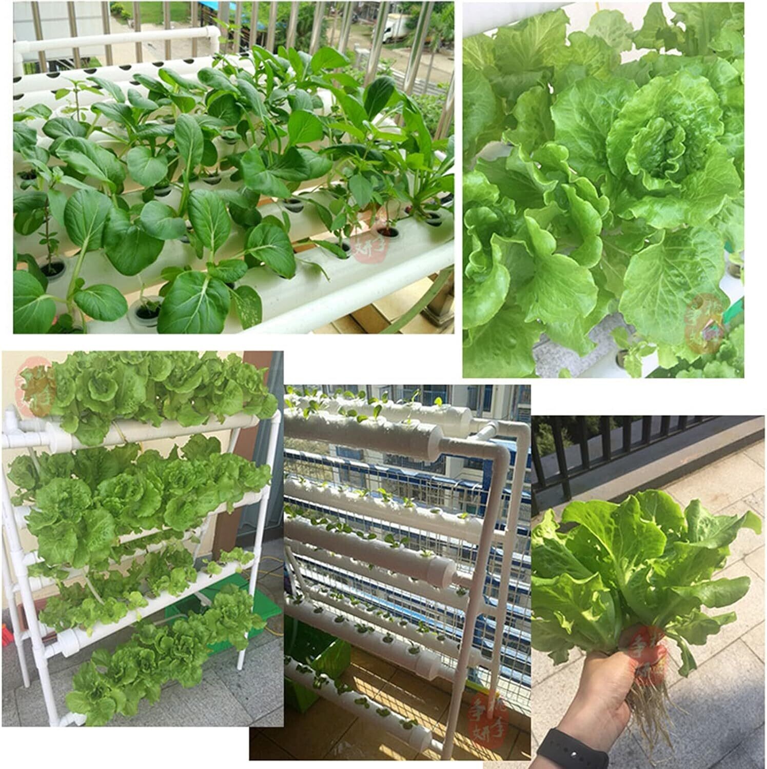 54-Holes Hydroponic Piping Site Grow Kit, Deep Water Culture Planting Box, Gardening System, Nursery Pot Hydroponic Rack