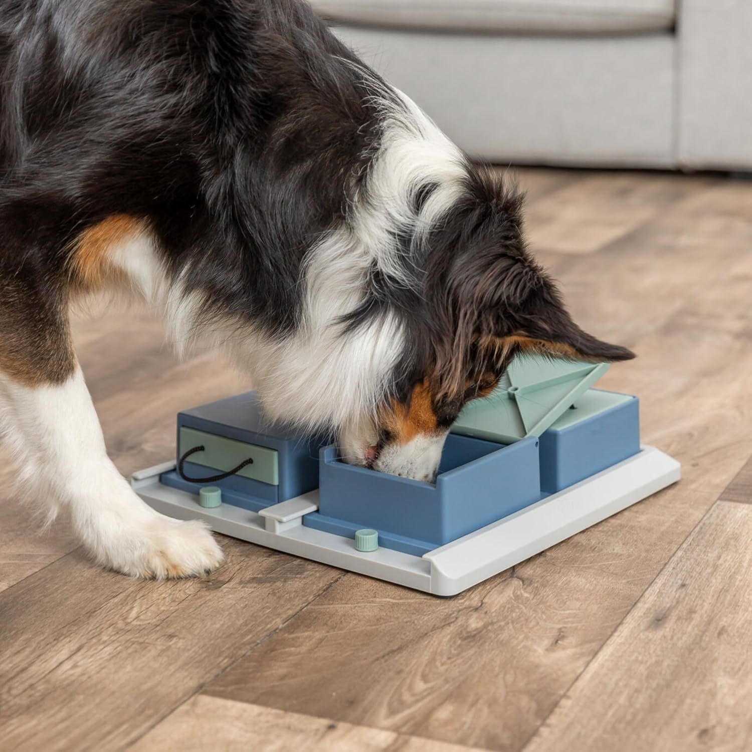 Dog Puzzle Toy – Interactive Intelligence &amp; Treat Training Game