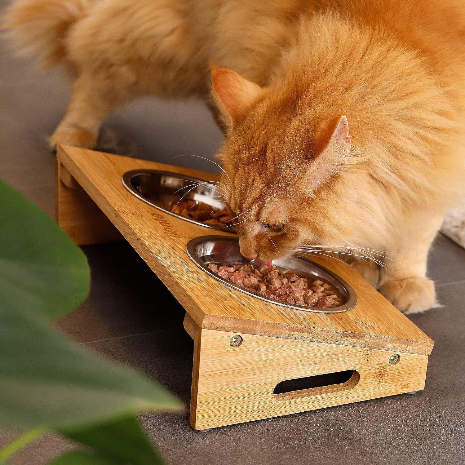 Bowl with Bamboo Frame and 2 Feeding Bowls for Dogs &amp; Cats – Elevated Design for Comfortable Feeding, Non-Slip Base, and Eco-Friendly Bamboo Stand