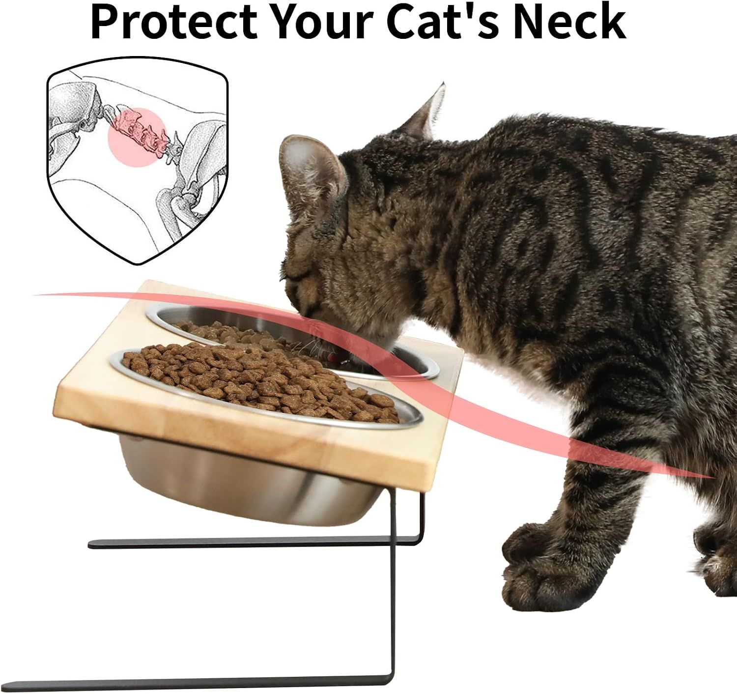 Elevated Cat Bowls, 15° Tilted Stainless Steel Pet Feeding Set with Bamboo Stand
