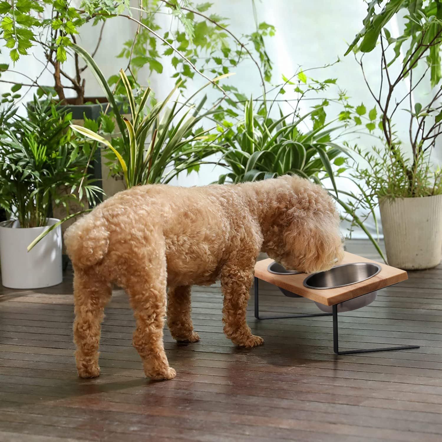Elevated Cat Bowls, 15° Tilted Stainless Steel Pet Feeding Set with Bamboo Stand