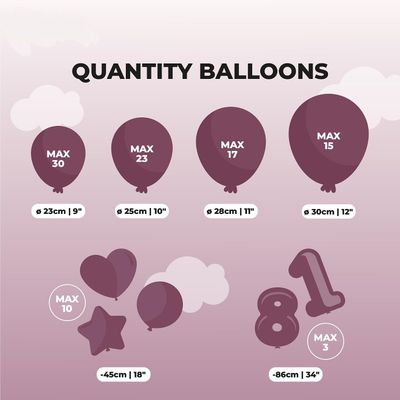 Helium Balloon Gas Bottle 30 Balloons Party Wedding Decoration Kit