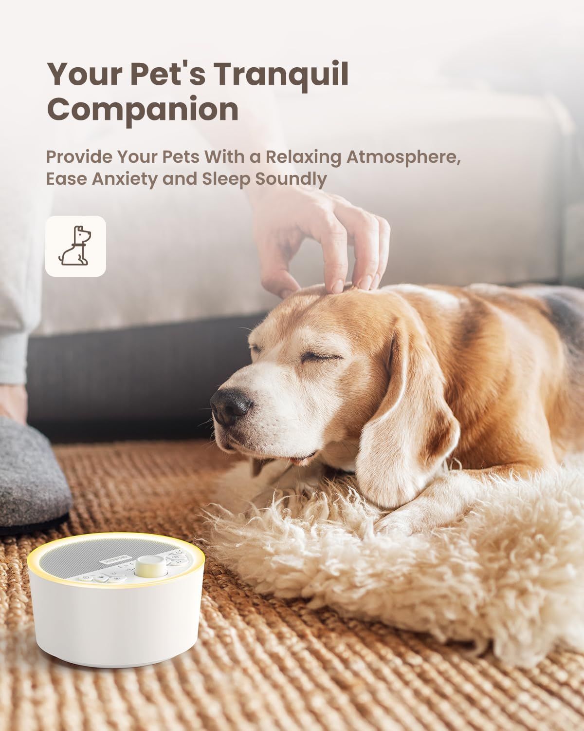 White Noise Machine with 29 Soothing Sounds, Night Light, Headphone Port for Baby Sleep
