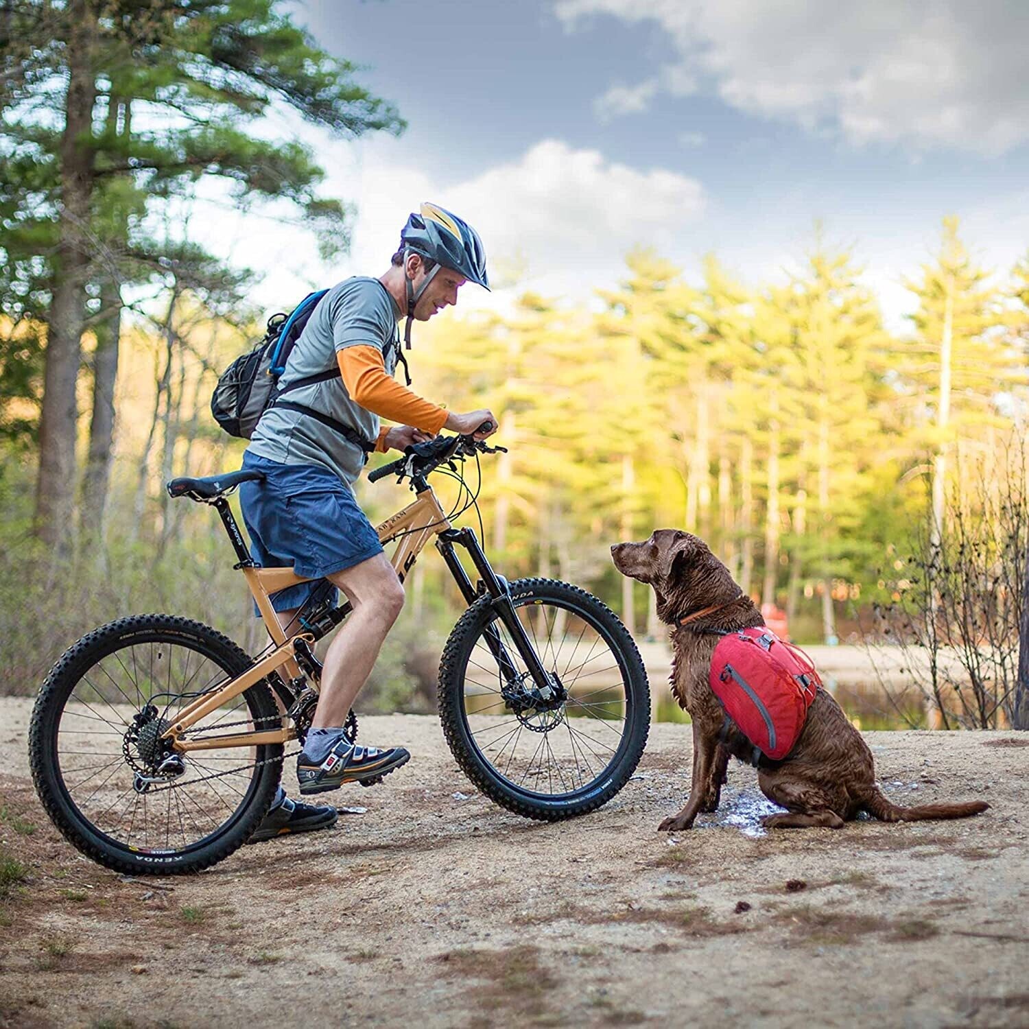 Adventure Dog Backpack Hiking Saddle Bag with Spine Support