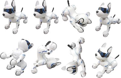 Remote Power Puppy Interactive Robot Dog – Remote &amp; Gesture Control