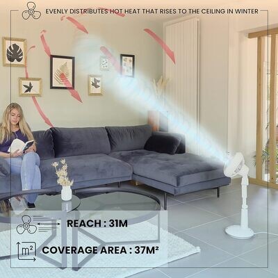 Ultra powerful & quiet pedestal fan, 37m², Range 31m, Multi-directional oscillation, Remote control, DC motor, Living room