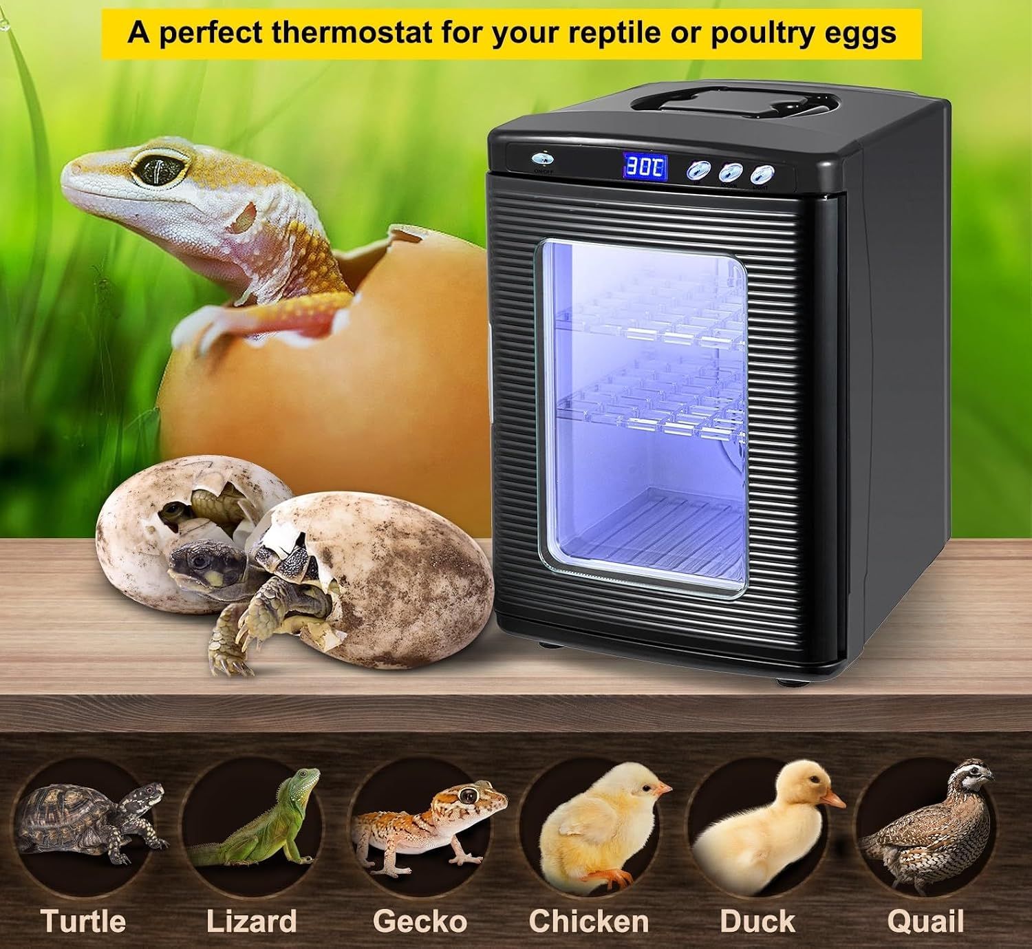 25L Reptile Egg Incubator Digital Temperature Control Auto Turn Egg Hatcher for Snake, Tortoise &amp; Lizard Eggs